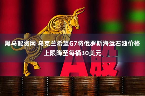 黑马配资网 乌克兰希望G7将俄罗斯海运石油价格上限降至每桶30美元